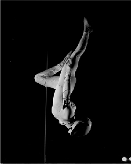 Tunnel - Custom skydiving suits and gear